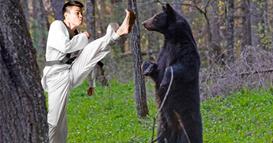 Карате мајстор победи мечка- со еден удар ја избрка и се спаси 