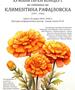 Хуманитарен концерт во сеќавање на Климентина Рафајловска