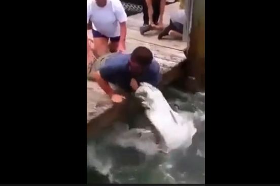Видео: Сакаше рибата да ја фати со рака, но тоа беше грешка
