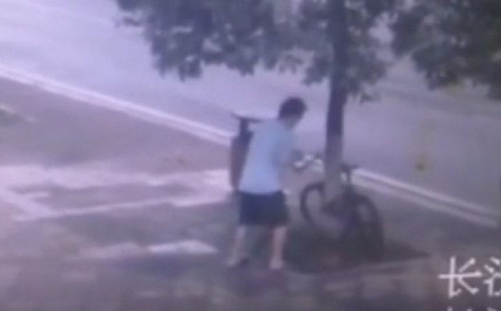 Видео: Крадец пресече дрво за да украде велосипед !?