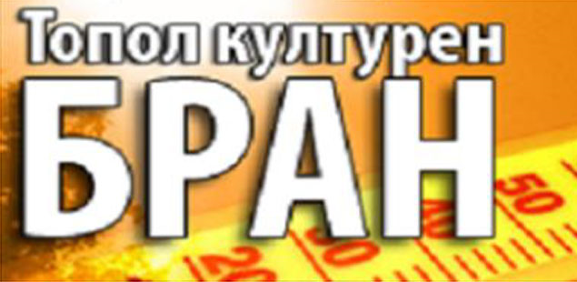 Наидува  “Топол културен бран”