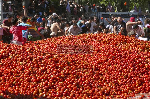 Масовна тепачка со домати во Чиле