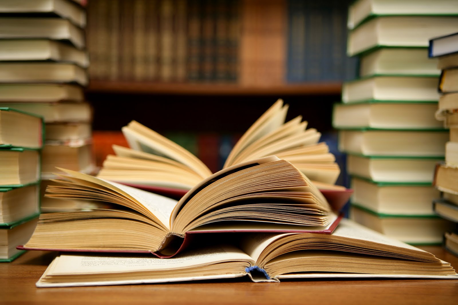 Пладневни книжевни средби во „Матица“