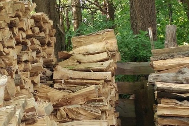 Дали може да ја забележите мачката на фотографијата?
