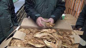 Сојуз на земјоделски здруженија: Откупен е половина од родот на тутунот