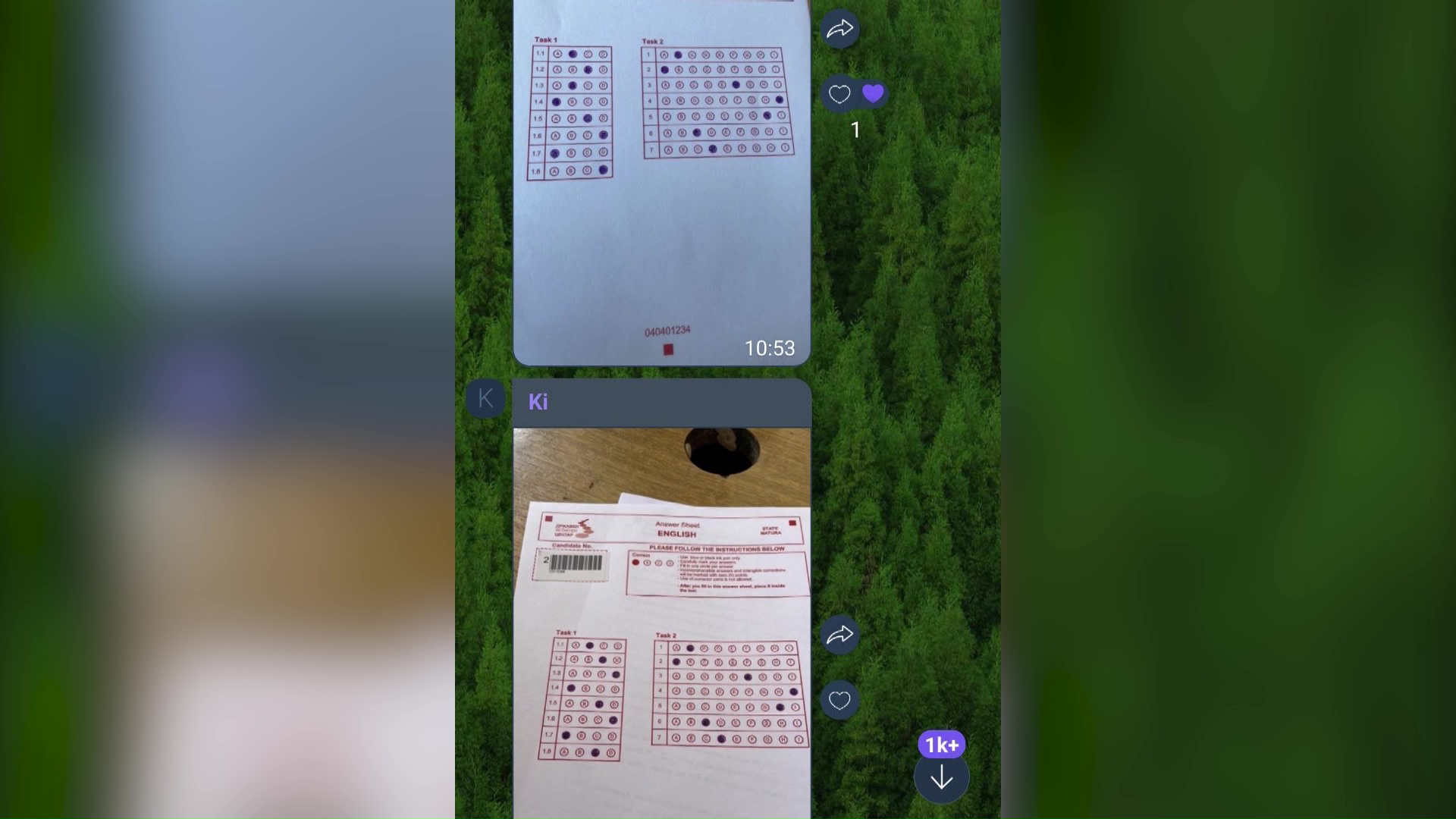 Дел од средношколците со критики за вчерашното препишување на ...