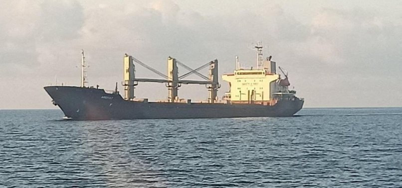 И покрај руската блокада, вториот товарен брод со украинско жито пристигна во Истанбул