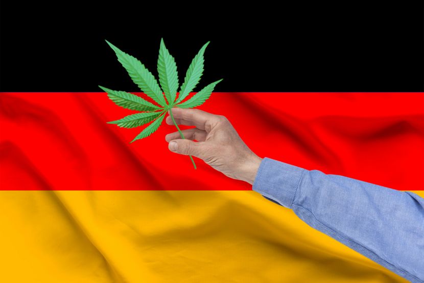 Германија ја легализира марихуаната, сепак ќе има и ограничувања
