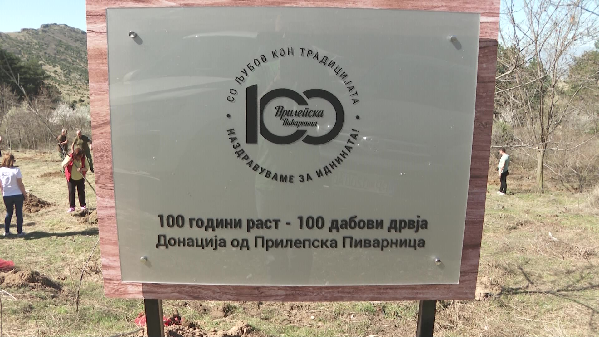 Сто засадени дрвја по повод 100-годишнината од Прилепска Пиварница ...