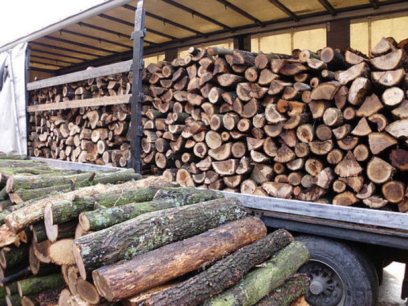 Молдова дрова. Дрова дубовые. Дрва. Дровница, поленница delta-park wh 3007005. Текстура бревна.