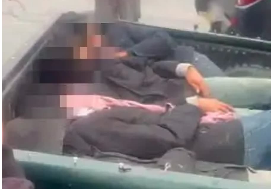 Криеле мигранти во отворениот товарен простор на пикап возила и ги пренесувале во Грција(ВИДЕО)
