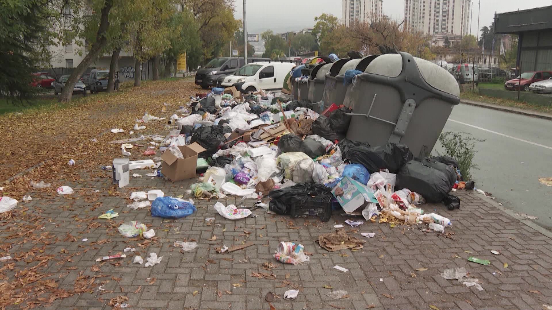 Чума, тифус на глувци, свинска дизентерија – проблемот со отпадот од комунален може да стане медицински