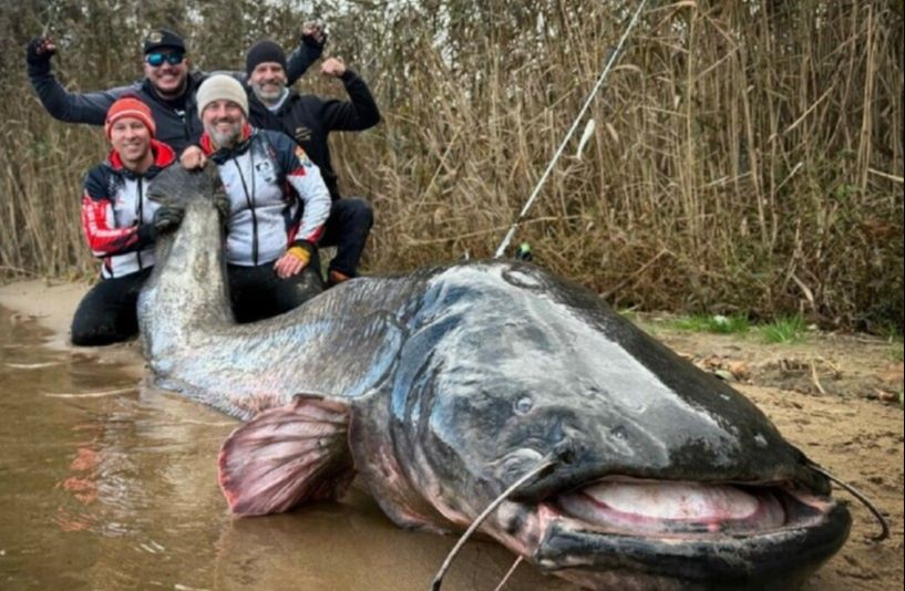 Видео: Уловиле ѕвер од 292 сантиметри,достоен за светски рекорд: „Го извлекувавме повеќе од час и половина“