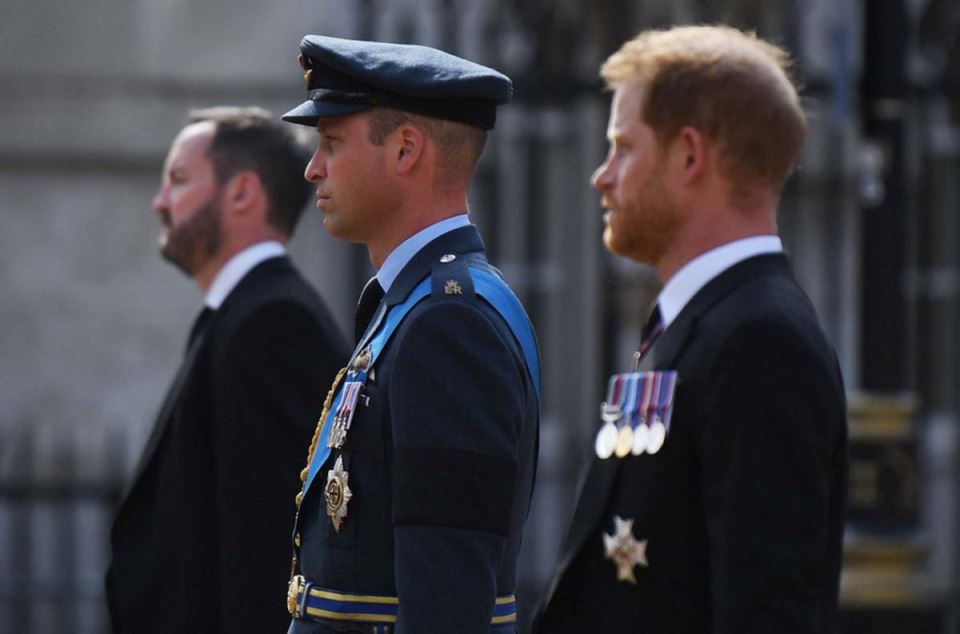 Принцот Вилијам се согласи на тајна средба со Хари, но под свои одредени услови