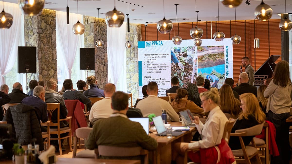 Прекуграничен успех во обновување на шумите во Македонија и Албанија