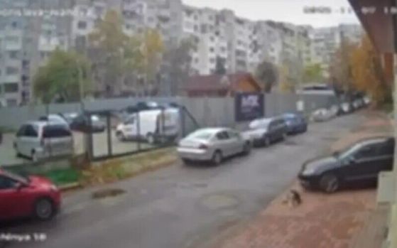 Бура реакции во Бугарија – македонски доктор прегазил куче пред зграда во Софија