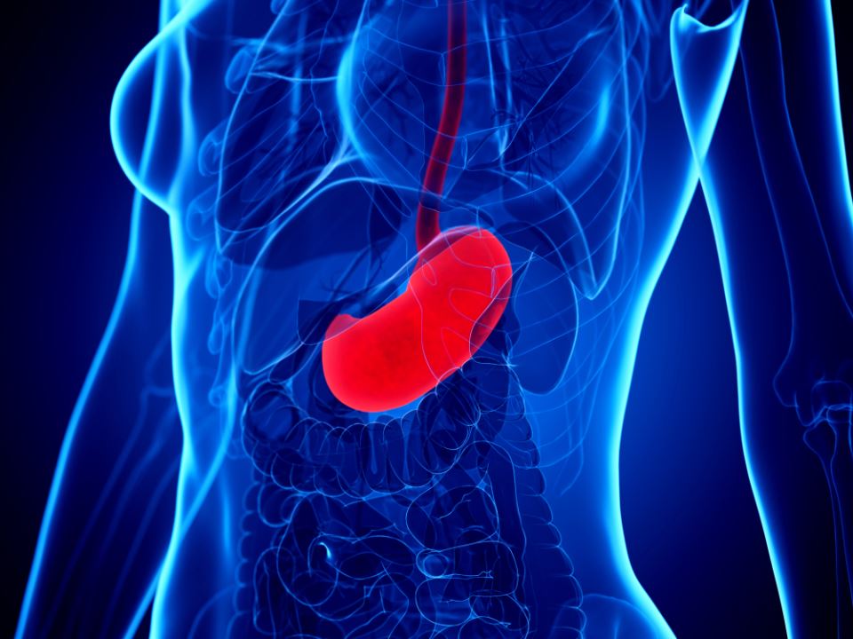 Вежби со дишење кои го чуваат здравјето на желудникот, го подобруваат и забрзуваат варењето