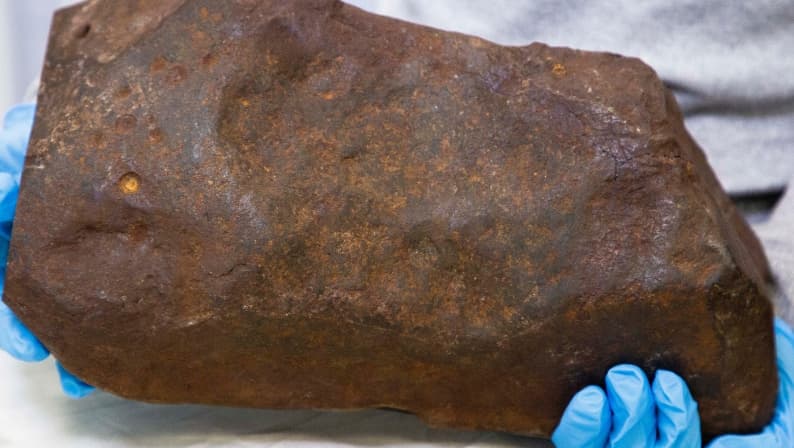 Помислил дека нашол огромна грутка злато, по 10 години научниците утврдиле дека е многу повредно (ВИДЕО)