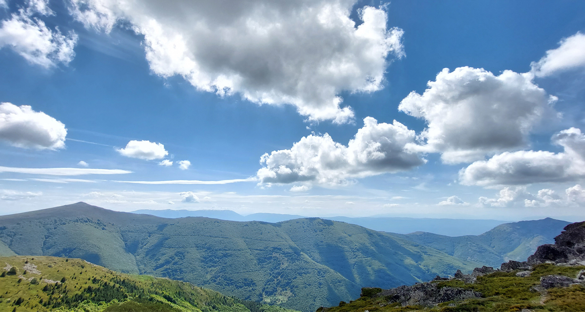 Во Битола одбележана годишнина од формирањето на Национален парк „Пелистер“