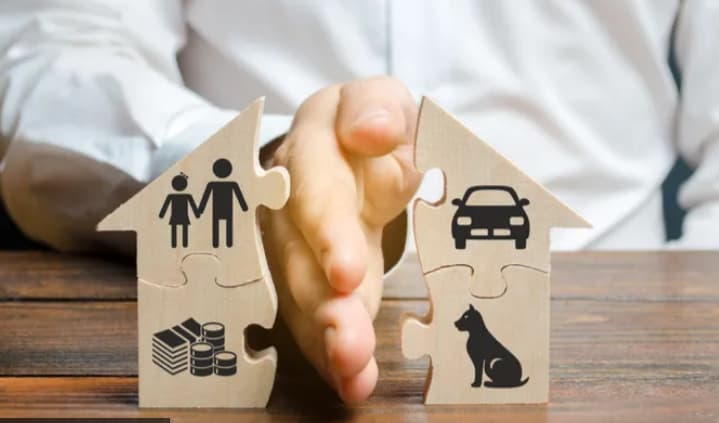 Шпанија донесе историска реформа- ги прогласи домашните миленичиња за членови на семејството