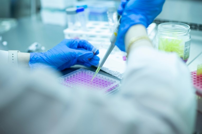 Откриен начин за подмладување на крвните матични клетки