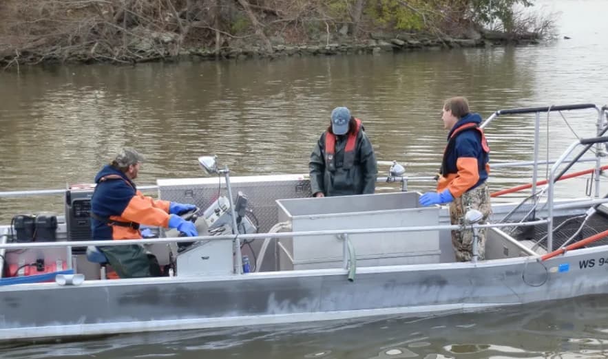 Пронајдено е отровно суштество со 24 очи, никој не знае колку време се криело во матно езеро (ВИДЕО)