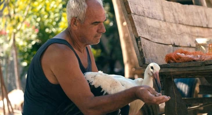 Награди за документарецот „Приказната за Силјан“ во Лос Анџелес