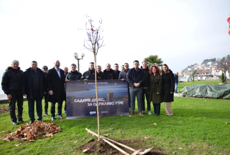 Вработените во „ТАВ МАкедонија“ садеа дрвца во центарот на Охрид