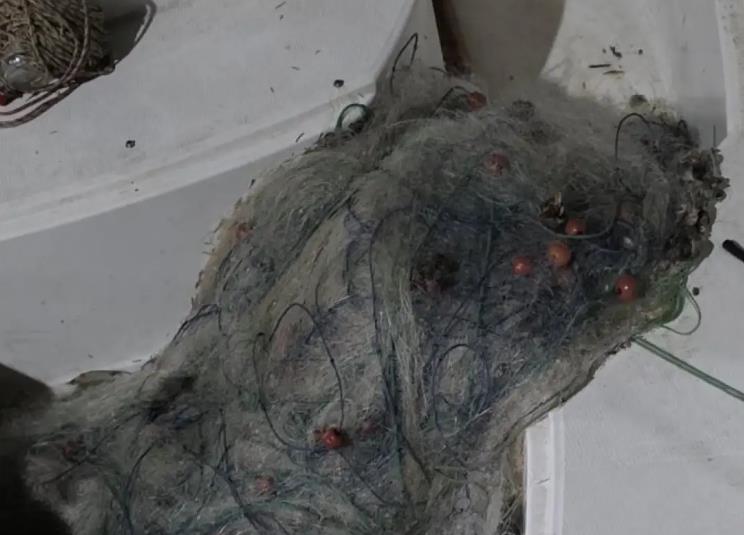 Засилен надзор во рамки на актуелната забрана за риболов на Охридското Езеро