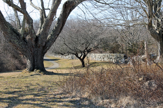 Идната недела сончево и тивко, со натпросечни температури