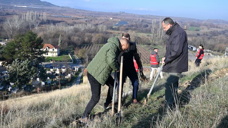 Јанчев: Општина Кавадарци се вклучи во акцијата за пошумување организирана од Ротари клуб