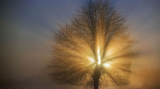 Променливо облачно, магла во котлините