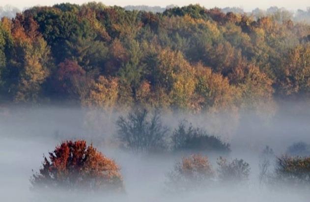 Сончево со појава на магла по одделни котлини, температурите ќе се движат од - 6 до 13 степени