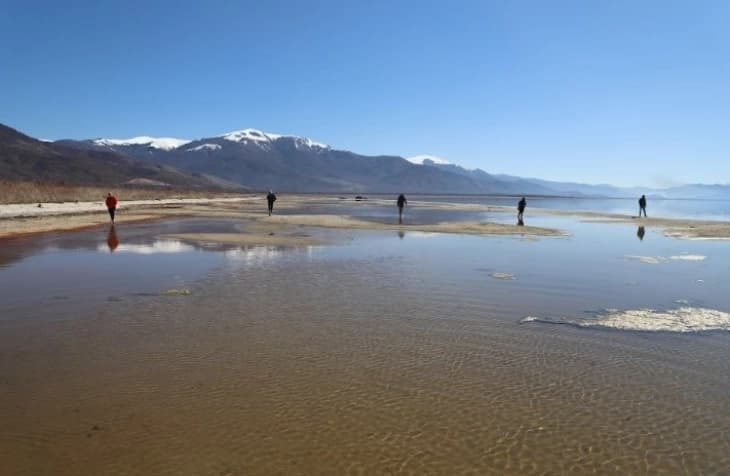 Во Преспанско Езеро кај селото Наколец откриен редок органски материјал