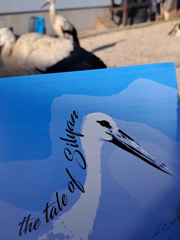 „Базарче дружба“ посветена на сите штркови како Силјан