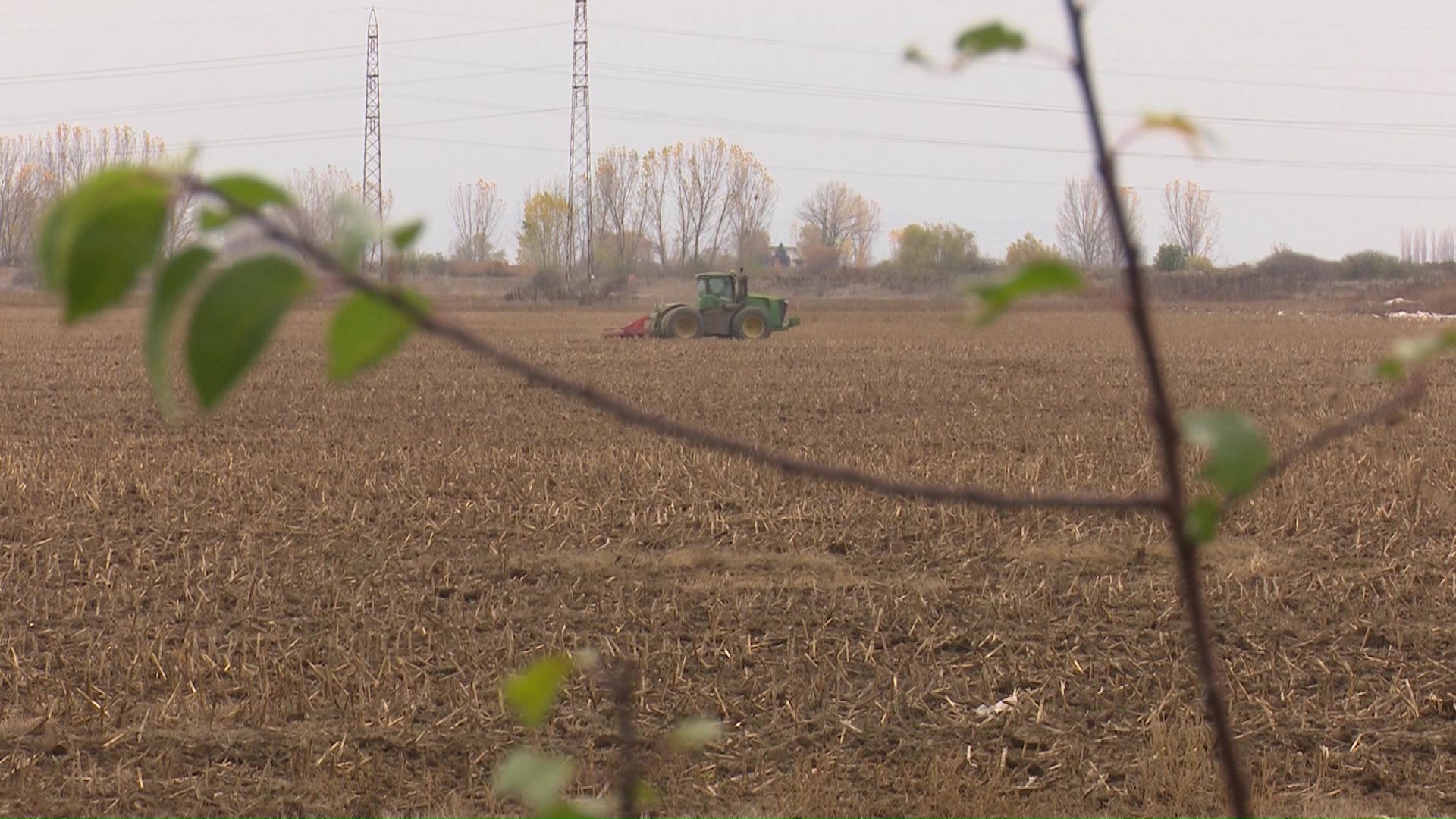Субвенциите не стигнуваат: Земјоделците бараат нов модел за поддршка на храната
