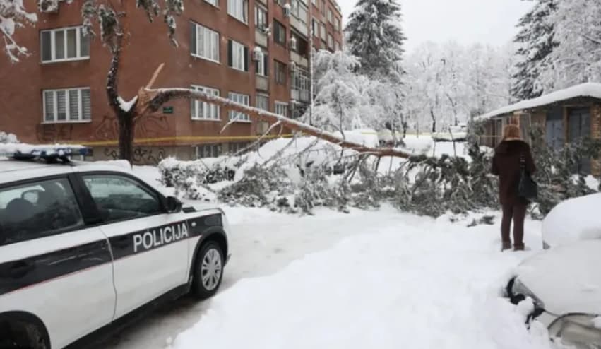 Дрво под тежина на снегот падна во Сараево и уби мајка на две деца