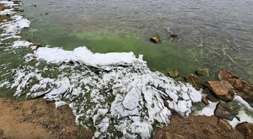 Езеро во Чешка прекриено со зелен мраз- научниците забележале редок феномен (ФОТО)
