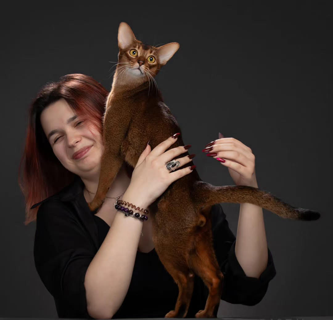 Дарлен - најдобра мачка во светот за 2025 година