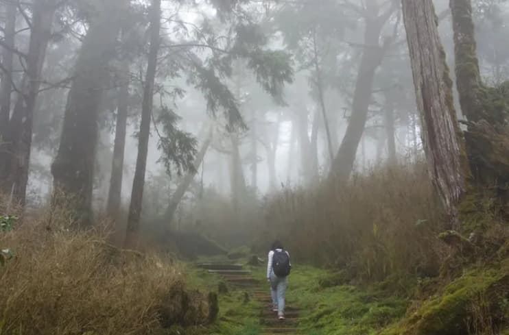 Пронашле мистериозен објект во шума- кога влегле внатре, занемеле во шок (ВИДЕО)