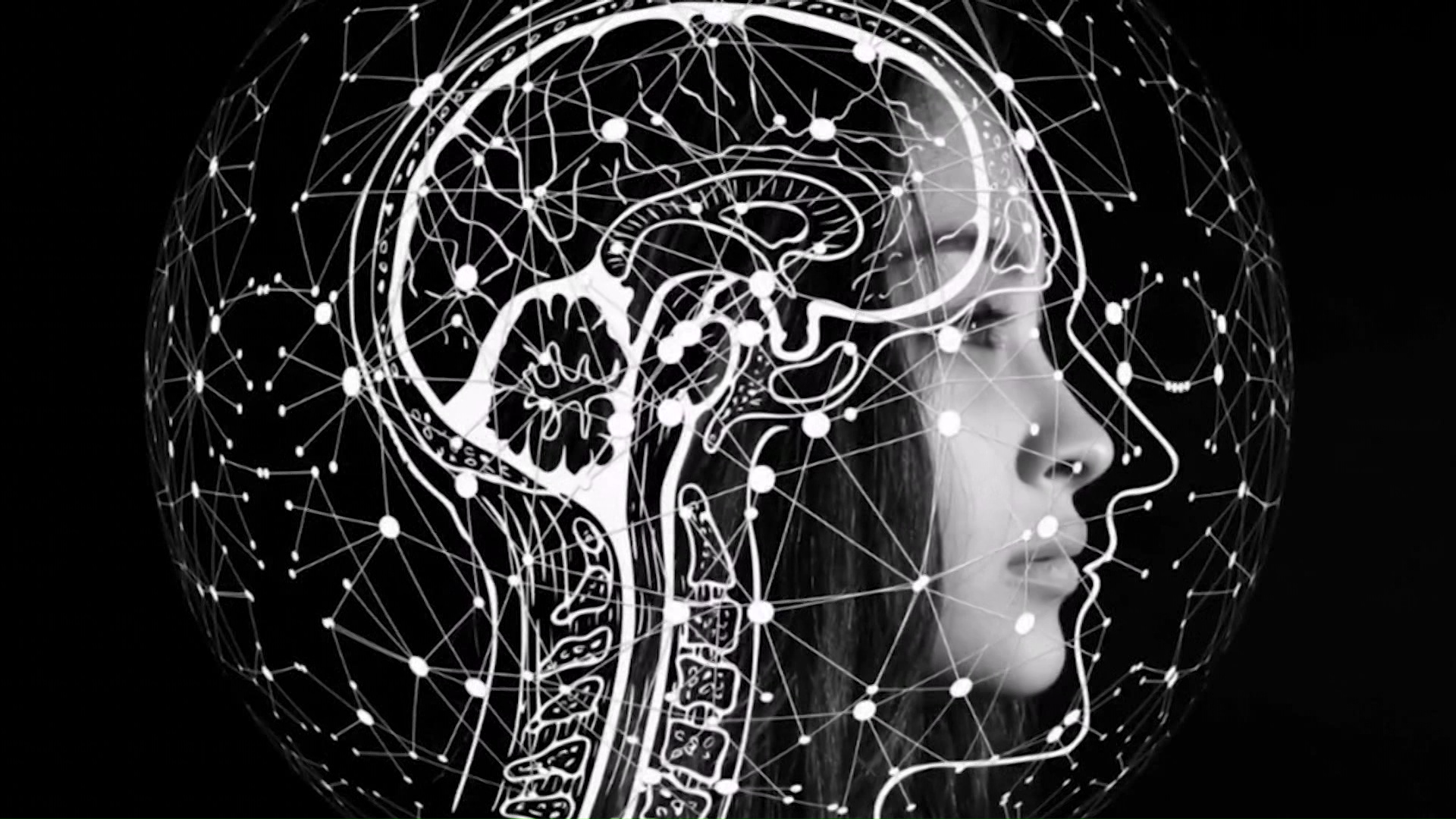 Проектот „Извоз на мозоци во САД“ под лупа на здравство – ќе се „чешла“ документацијата на соработката