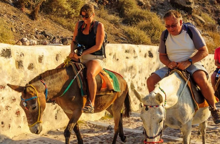 Санторини воведува ограничување на туристите до 100 килограми, кои јаваат магариња