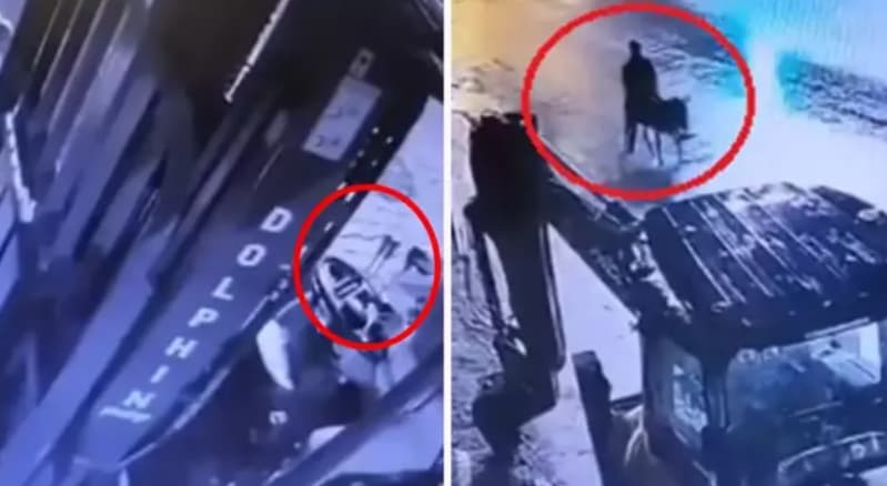 Турчин со виљушкар упаднал во златарница, ја ограбил и избегал- на магаре (ВИДЕО)