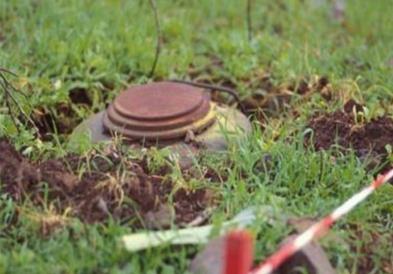 Полска денеска и официјално се повлече од Конвенцијата од Отава за забрана на противпешадиски мини