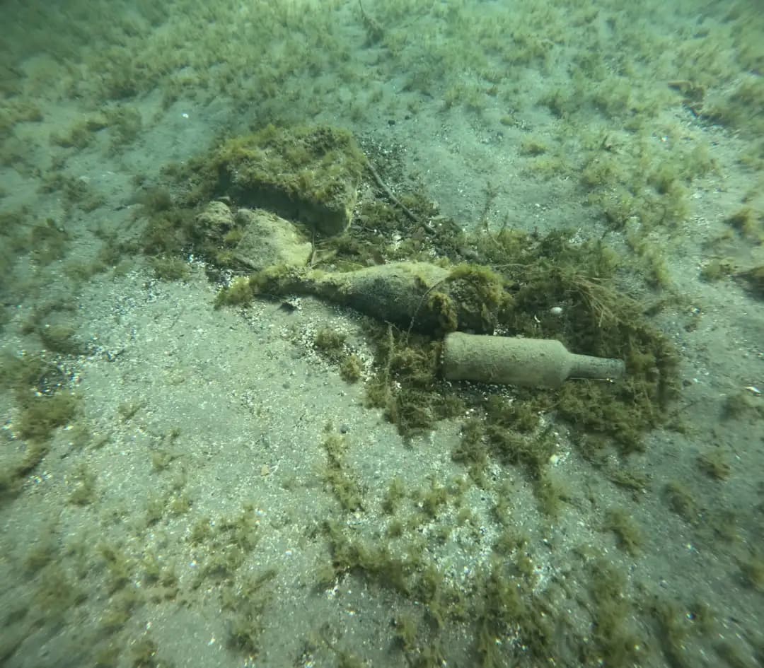 Акција за чистење на дното на Охридското Езеро