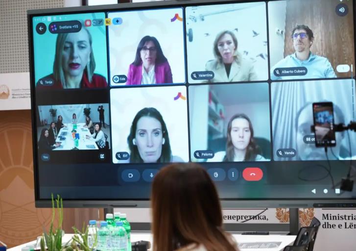 Онлајн настан со млади инженерки од пет земји: Жените можат да водат сè