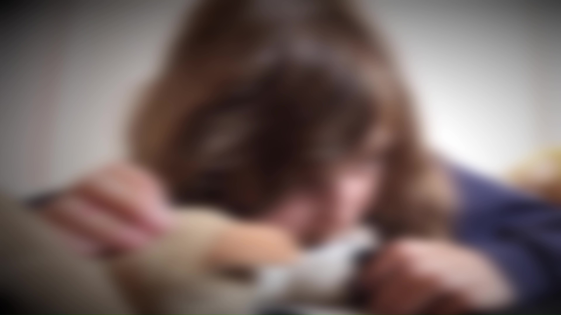 Полицијата да може веднаш да го отстрани насилникот од домот – експертите бараат побрза реакција на институциите