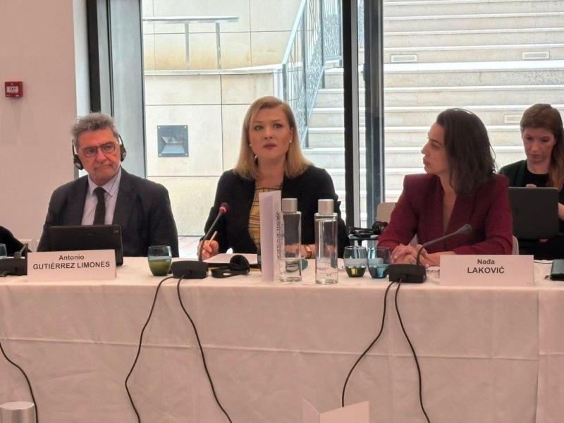 Василевска на состанок на Комисијата за политички прашања и демократија на ПССЕ