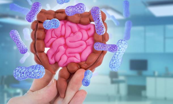 Говорот на влошената состојба на цревата: Сигнали кои порачуваат дека здравјето им е нарушено