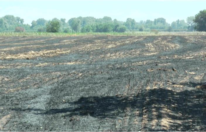 Жител на Чашка запалил стрништа во неговиот блок кое се проширило на соседниот блок, повредени лица нема